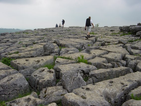 Limestone pavements